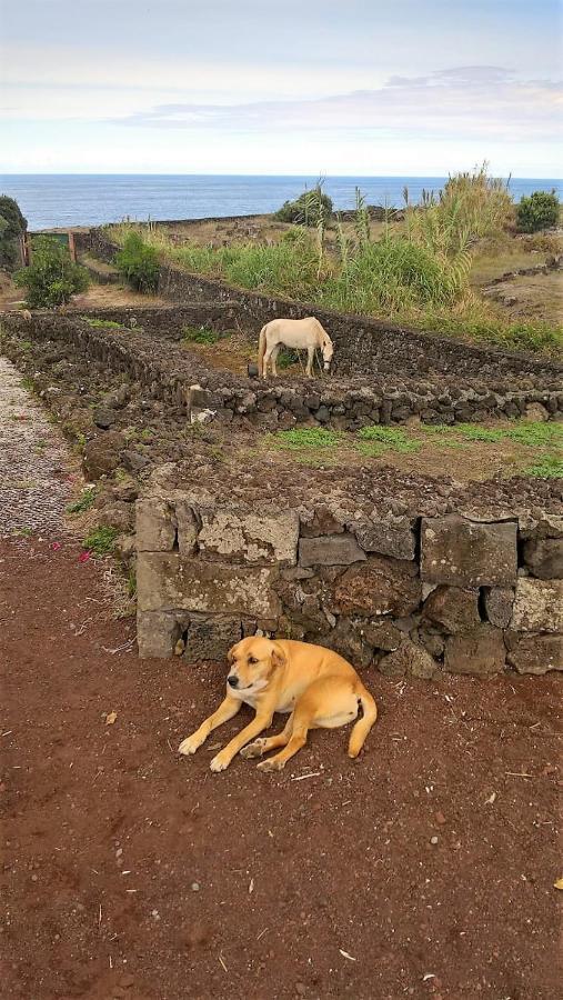 Quinta Da Falesia - Casa Branca ポンタ・デルガダ エクステリア 写真