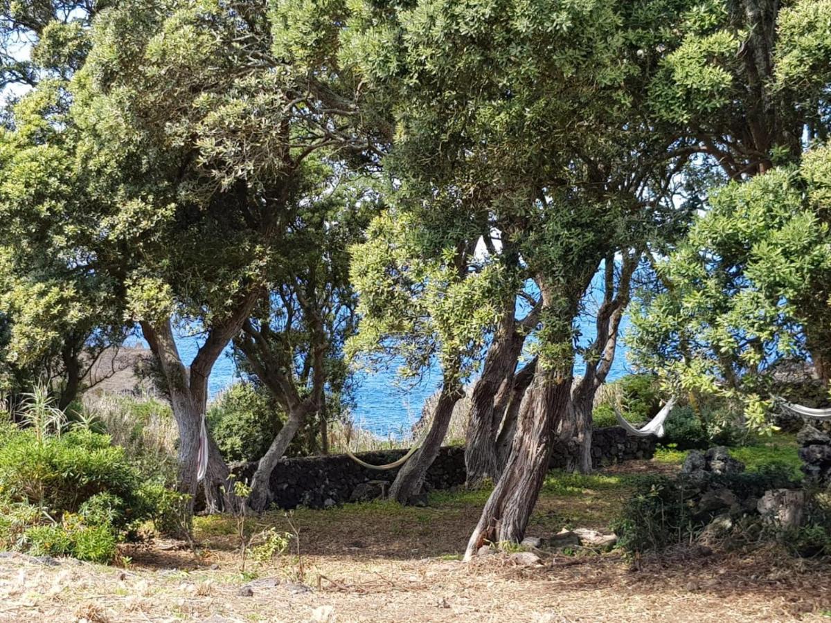 Quinta Da Falesia - Casa Branca ポンタ・デルガダ エクステリア 写真